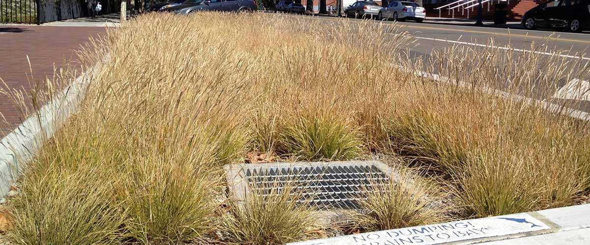 LID Stormwater Header